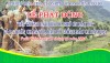 Học sinh trường PTDTNT THPT huyện Tuần Giáo tích cực Hưởng ứng “Tết trồng cây đời đời nhớ ơn Bác Hồ’’ năm 2024